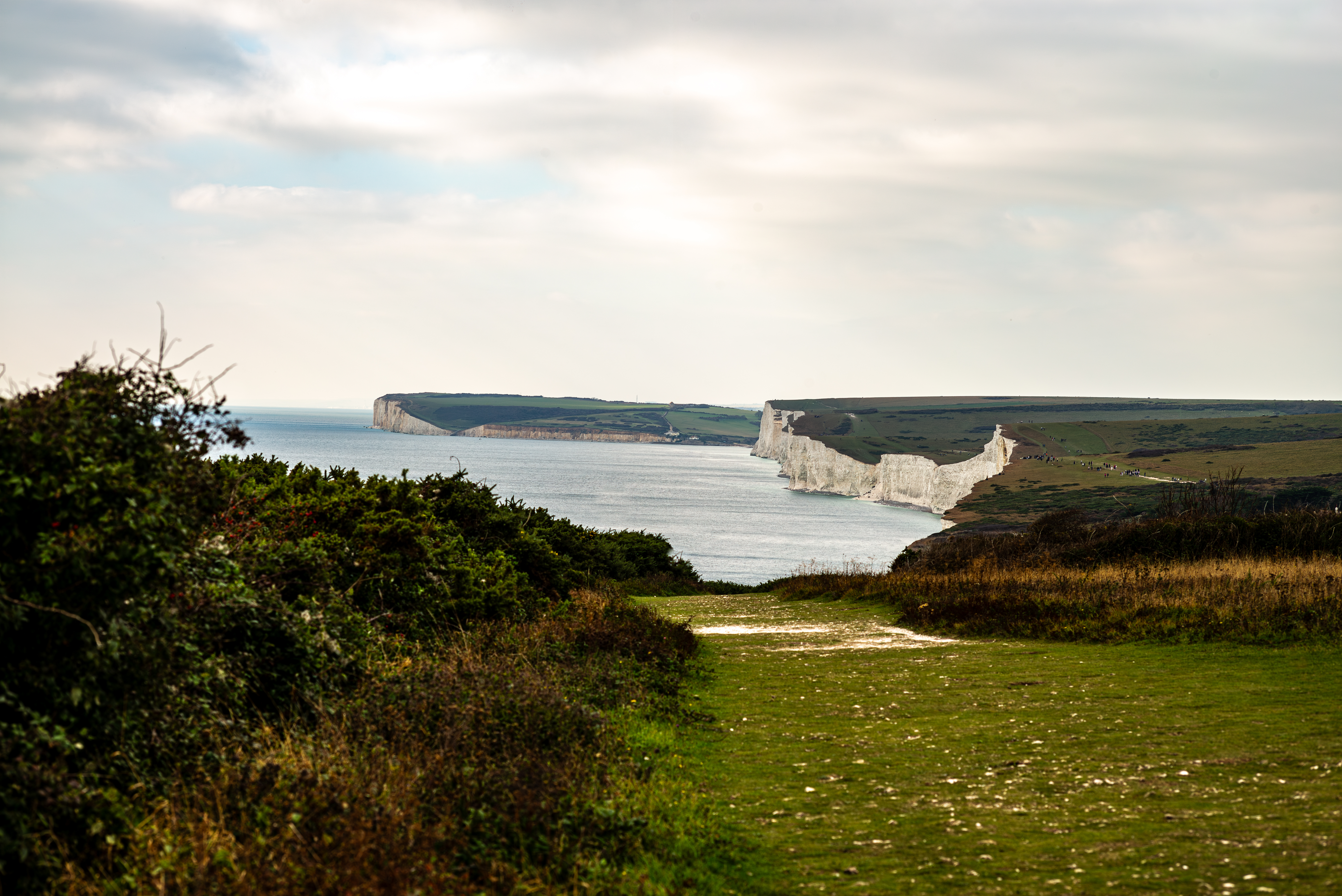 Eastbourne 202501061