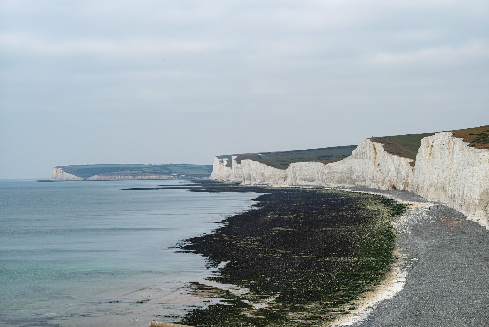 Eastbourne 2025